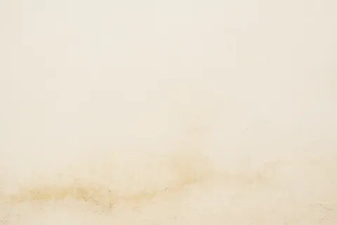 duvar boyası
