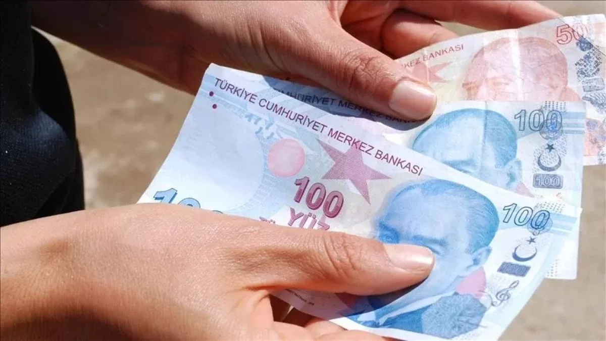 Bir kişinin elinde Türk lirası banknotları