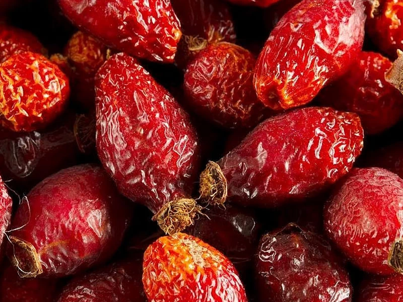 Buruşmuş ve kurumuş kırmızı kuşburnuları