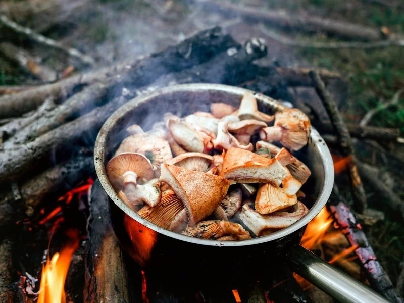 Ateş üzerindeki tavada pişen kanlıca mantarları