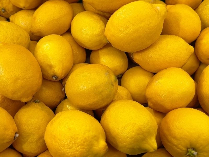 Reyonda bir arada duran sarı limonlar