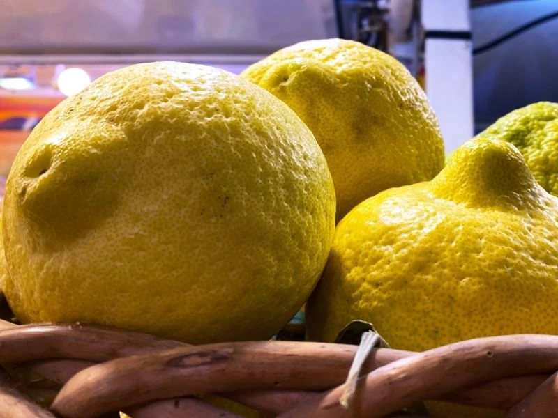 Market tezgâhında yakından görülen üç limon