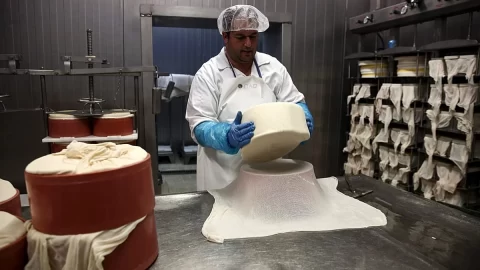 Midilli’de olgunlaşmış peynirlerin adadan çıkarılmasına izin verildi