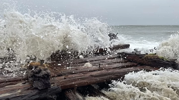 Nantucket’ın güney kıyısında dalgaların vurduğu eski ahşap gemi enkazı kirişleri