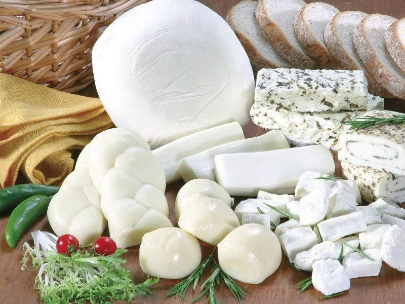 Mozzarella, burrata ve diğer taze peynir çeşitleri