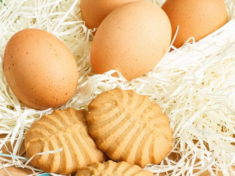 Yumurtaların yanında iki sade kurabiye